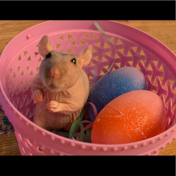 Meet your Posher, Sarah - Picture 1 of 1